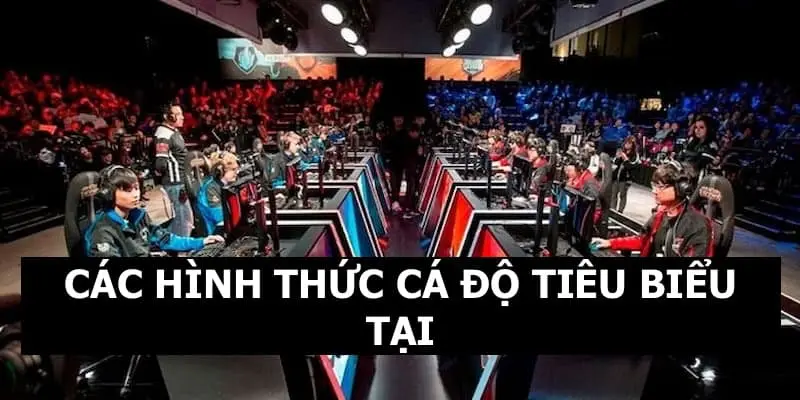 IA E-SPORTS QQ88 - Sảnh Cược Uy Tín Nhiều Kèo Tỷ Lệ Thưởng Cao 2 Những hình thức cá độ thường thấy tại sảnh thể thao điện tử IA